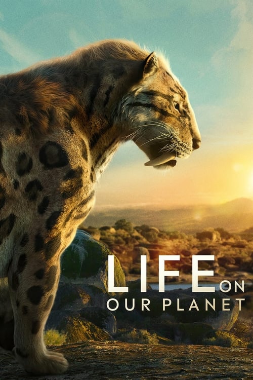 Life on Our Planet : 1.Sezon 3.Bölüm